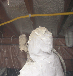 IA crawl space insulation